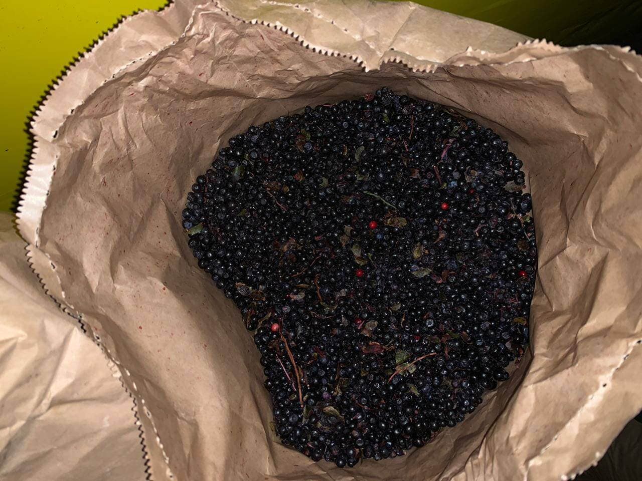Заморожена чорниця неочищена