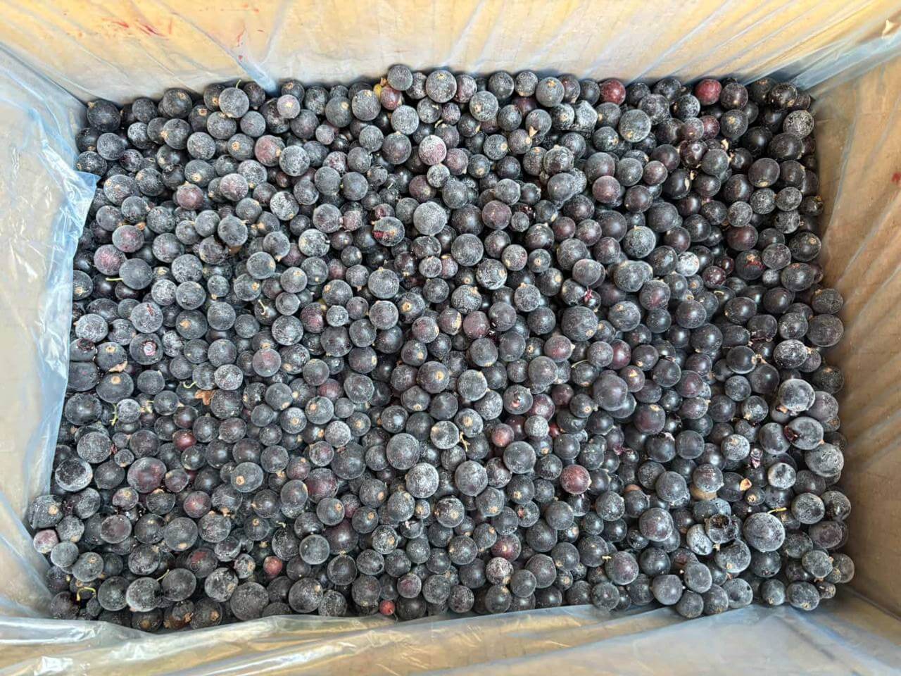 Заморожена чорна смородина