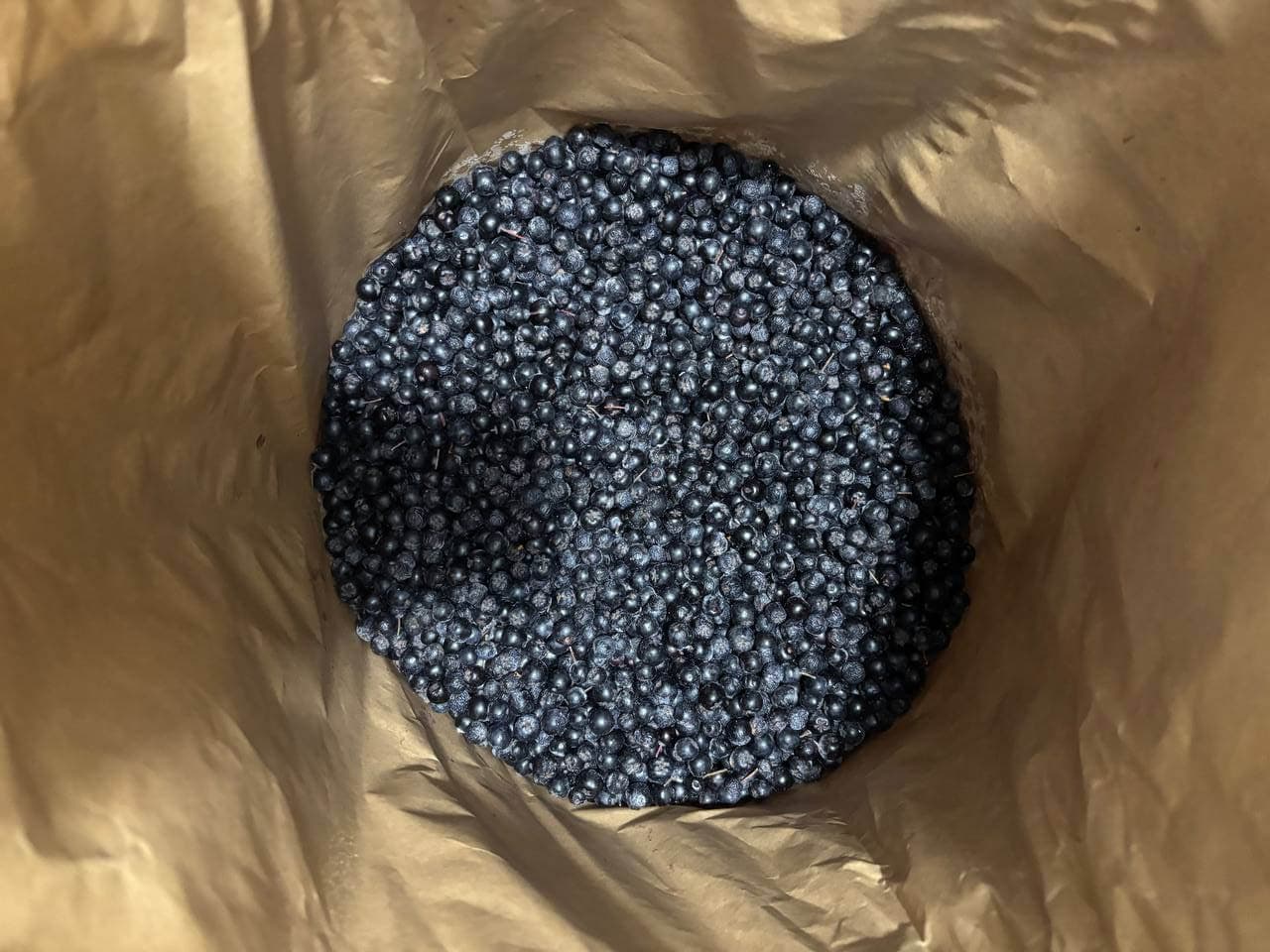 IQF Frozen Chokeberries Uncleaned