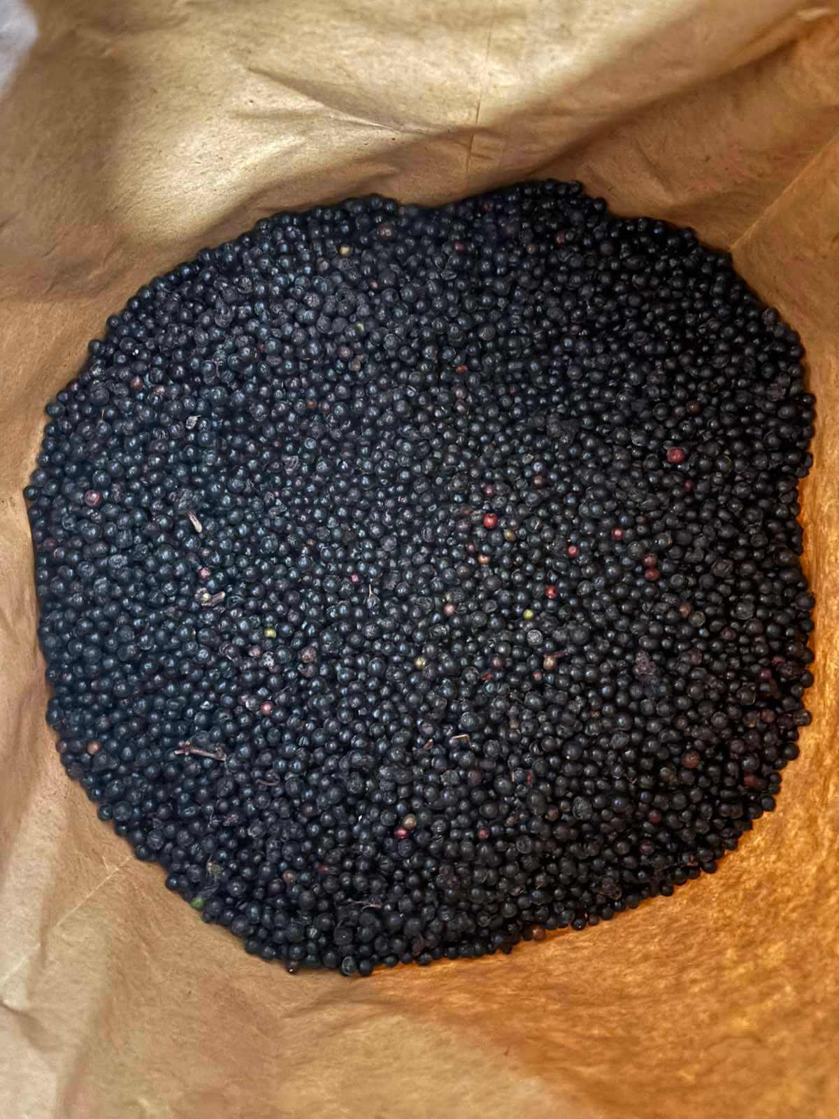 Заморожена бузина очищена