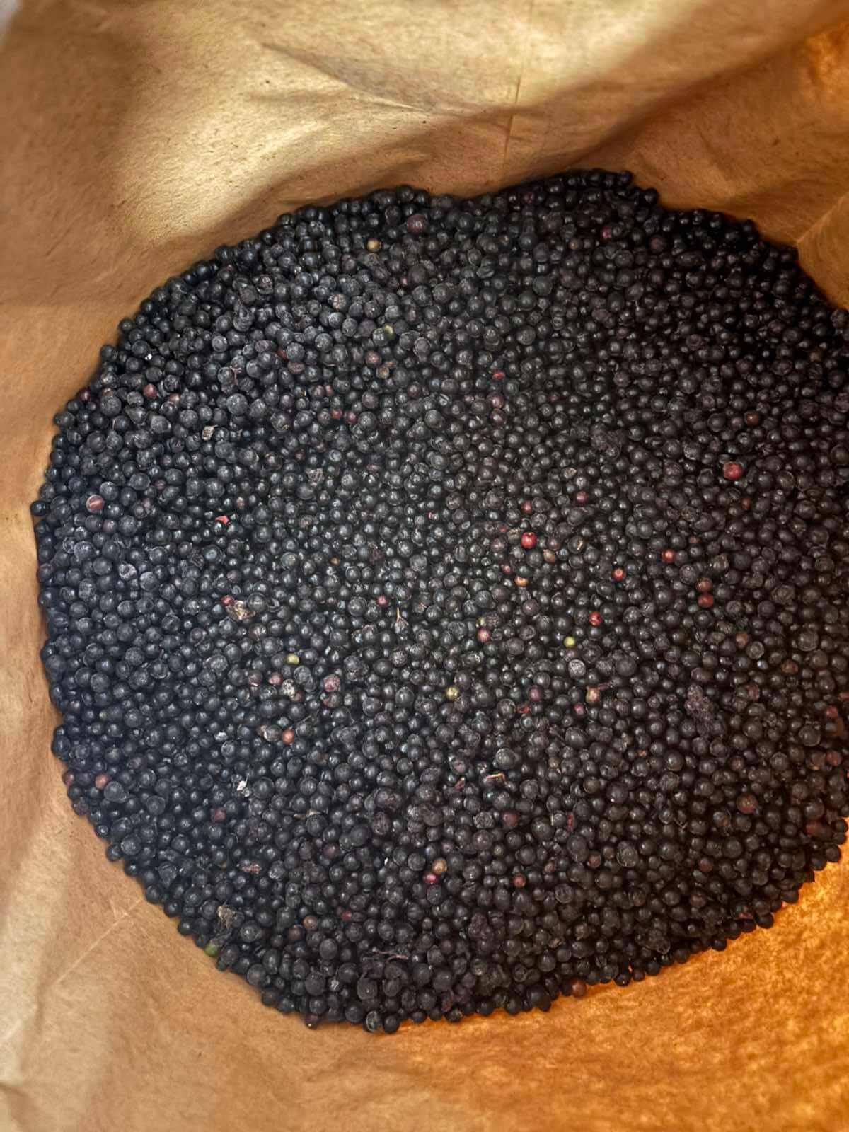 Заморожена бузина очищена