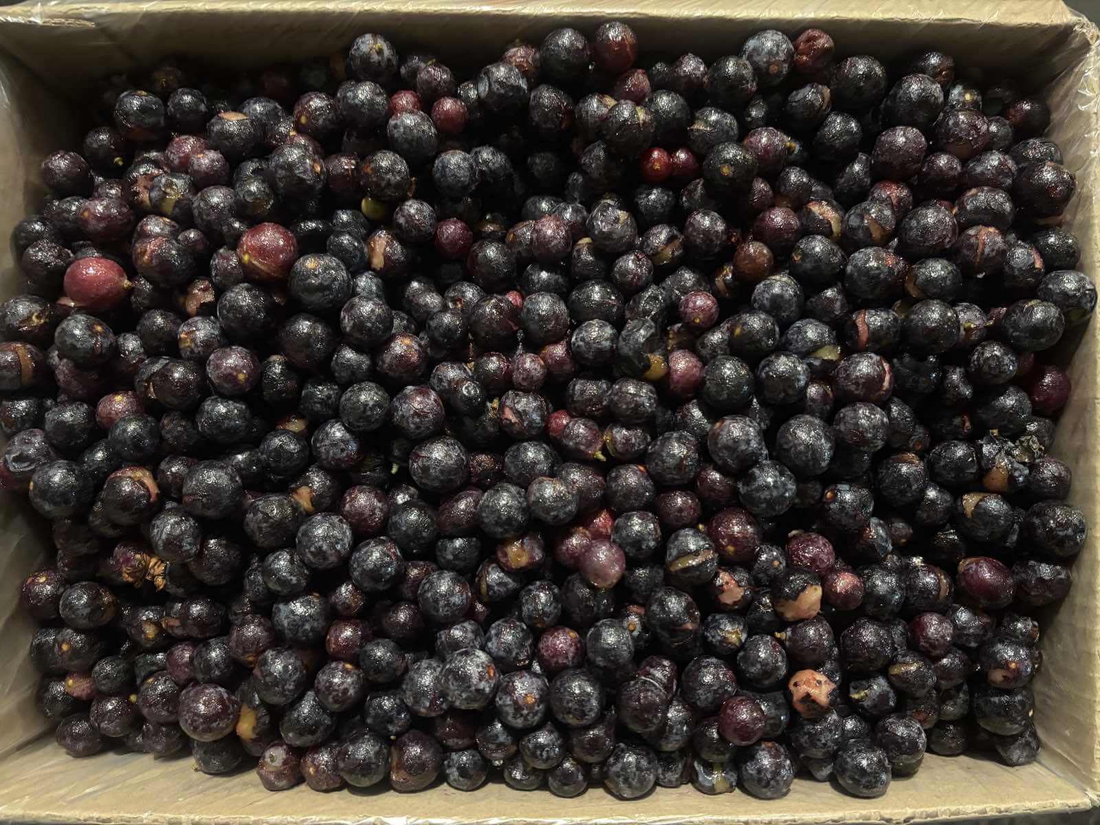 Заморожений виноград