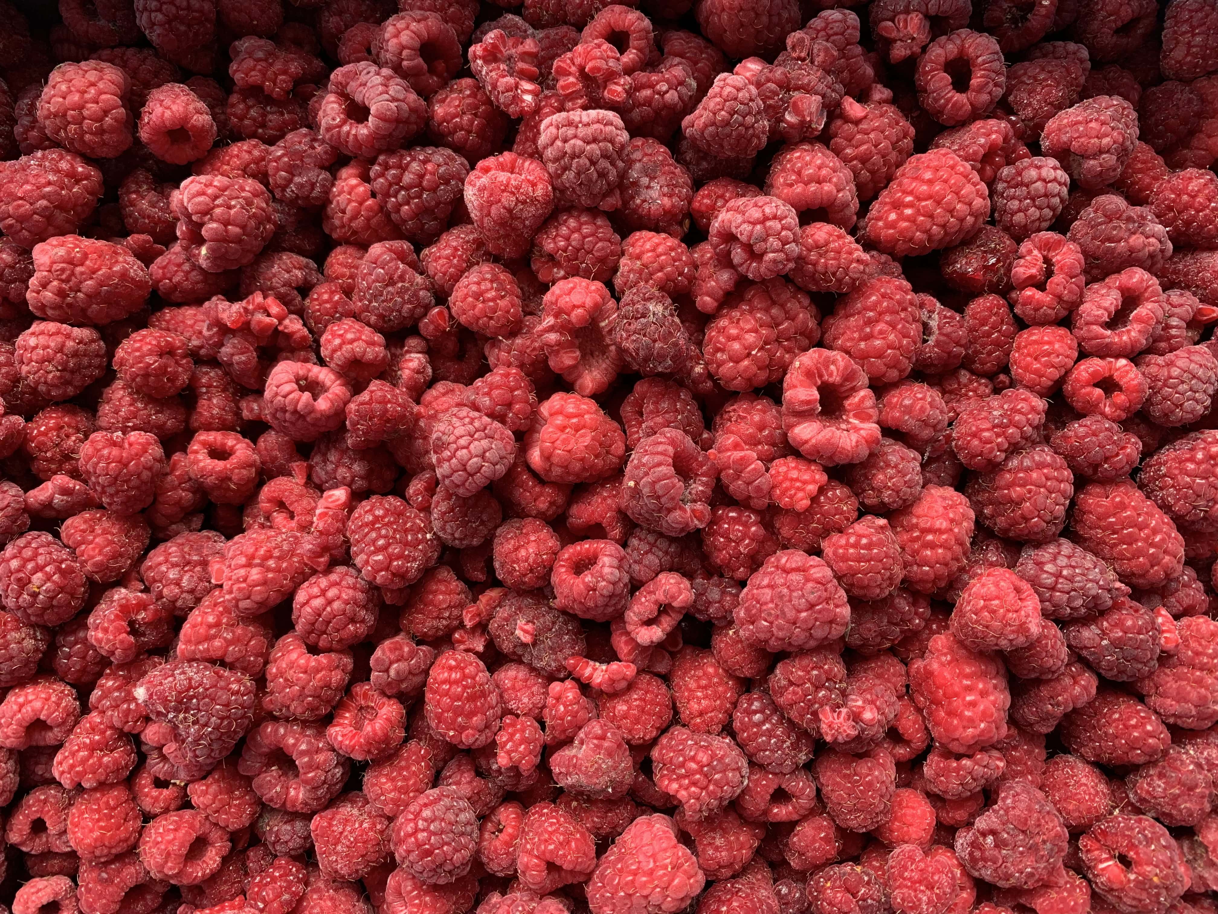 IQF Frozen Raspberries Whole