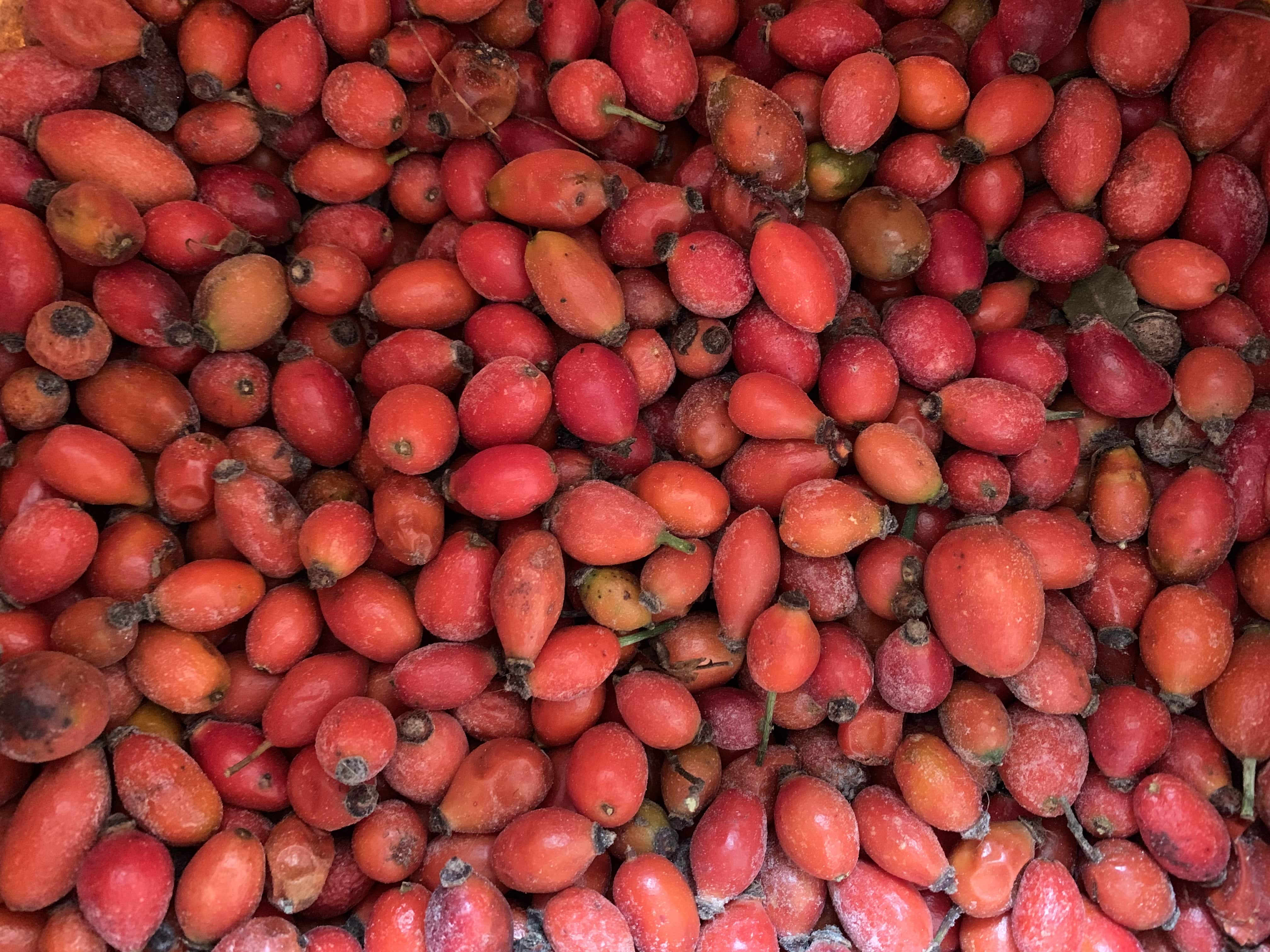 Заморожені шипшини