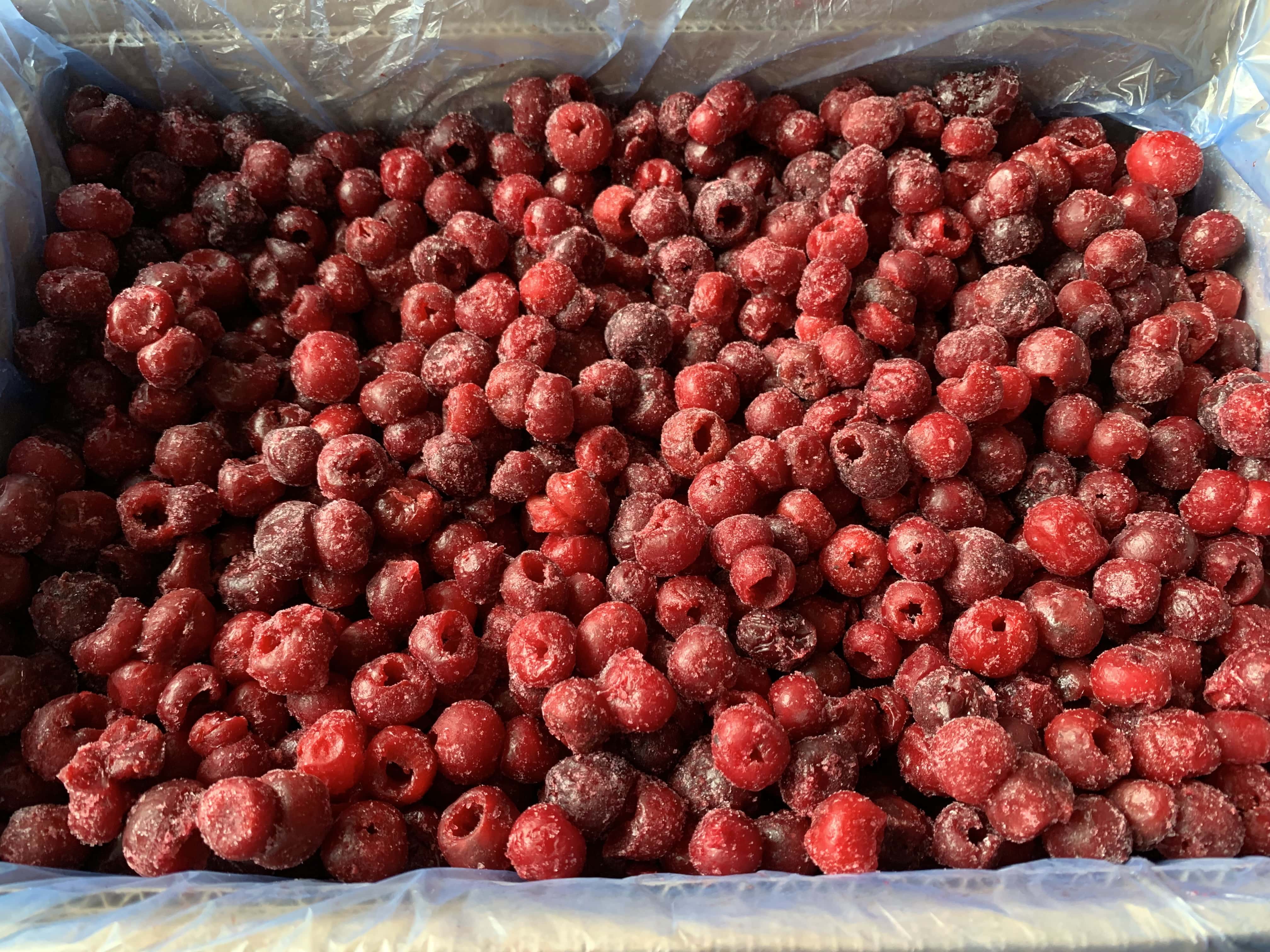 IQF Frozen Sour Cherries Whole / Pitted