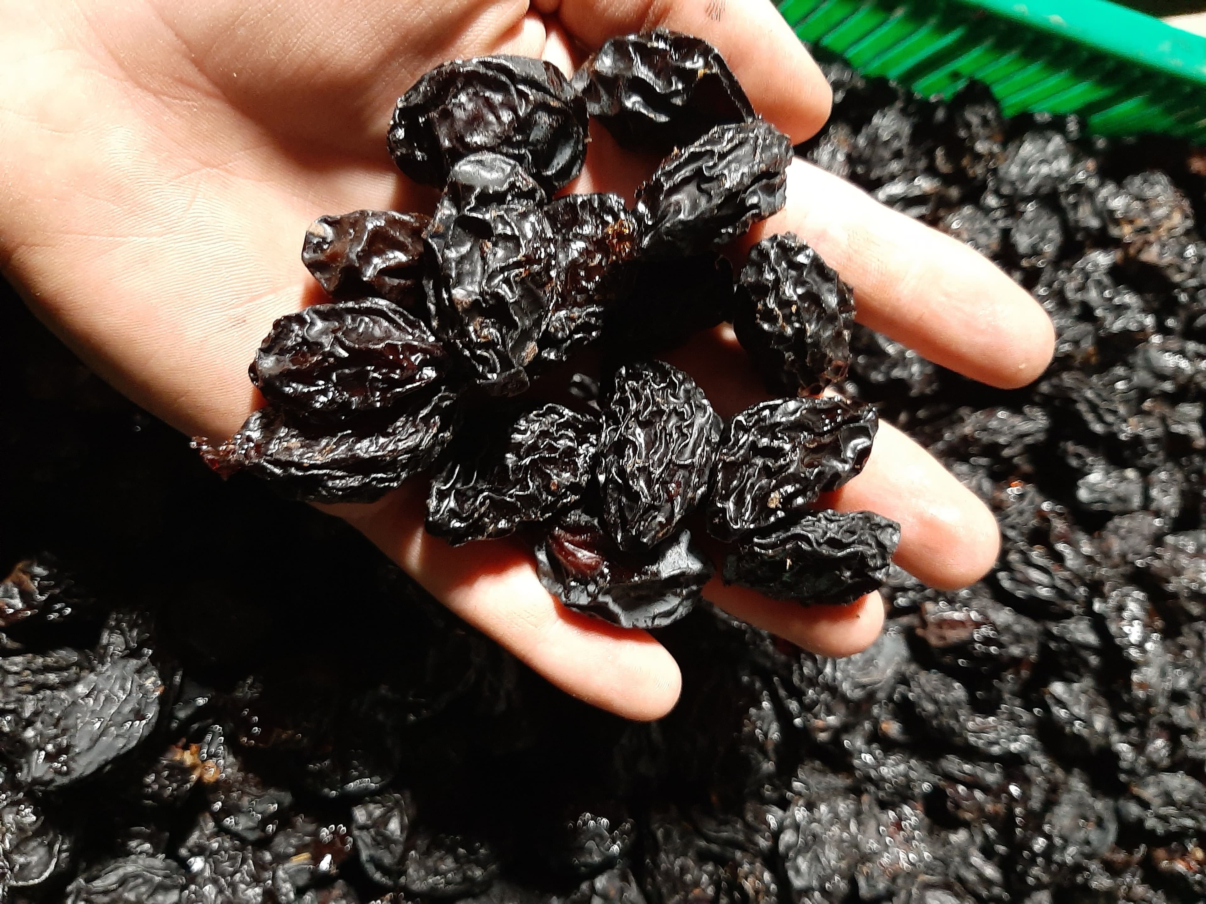 Сушені сливи з кісткою