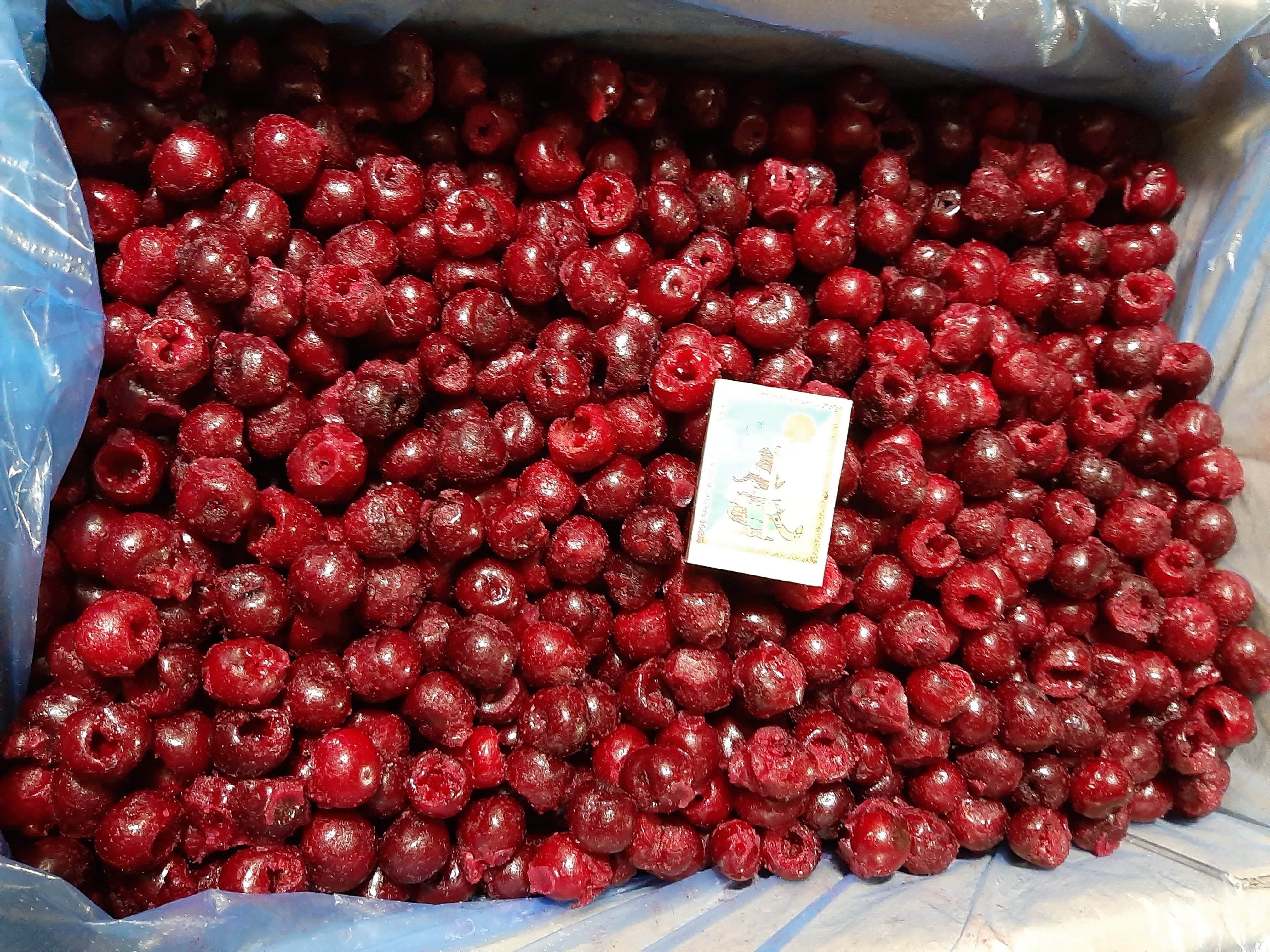 IQF Frozen Sour Cherries Whole / Pitted