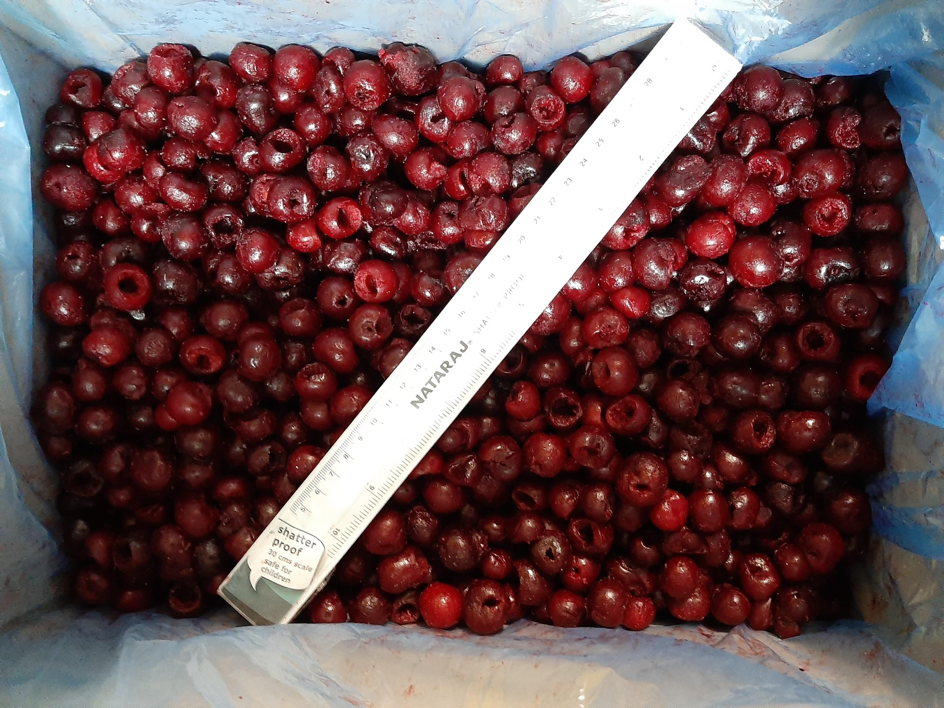 IQF Frozen Sour Cherries Whole / Pitted