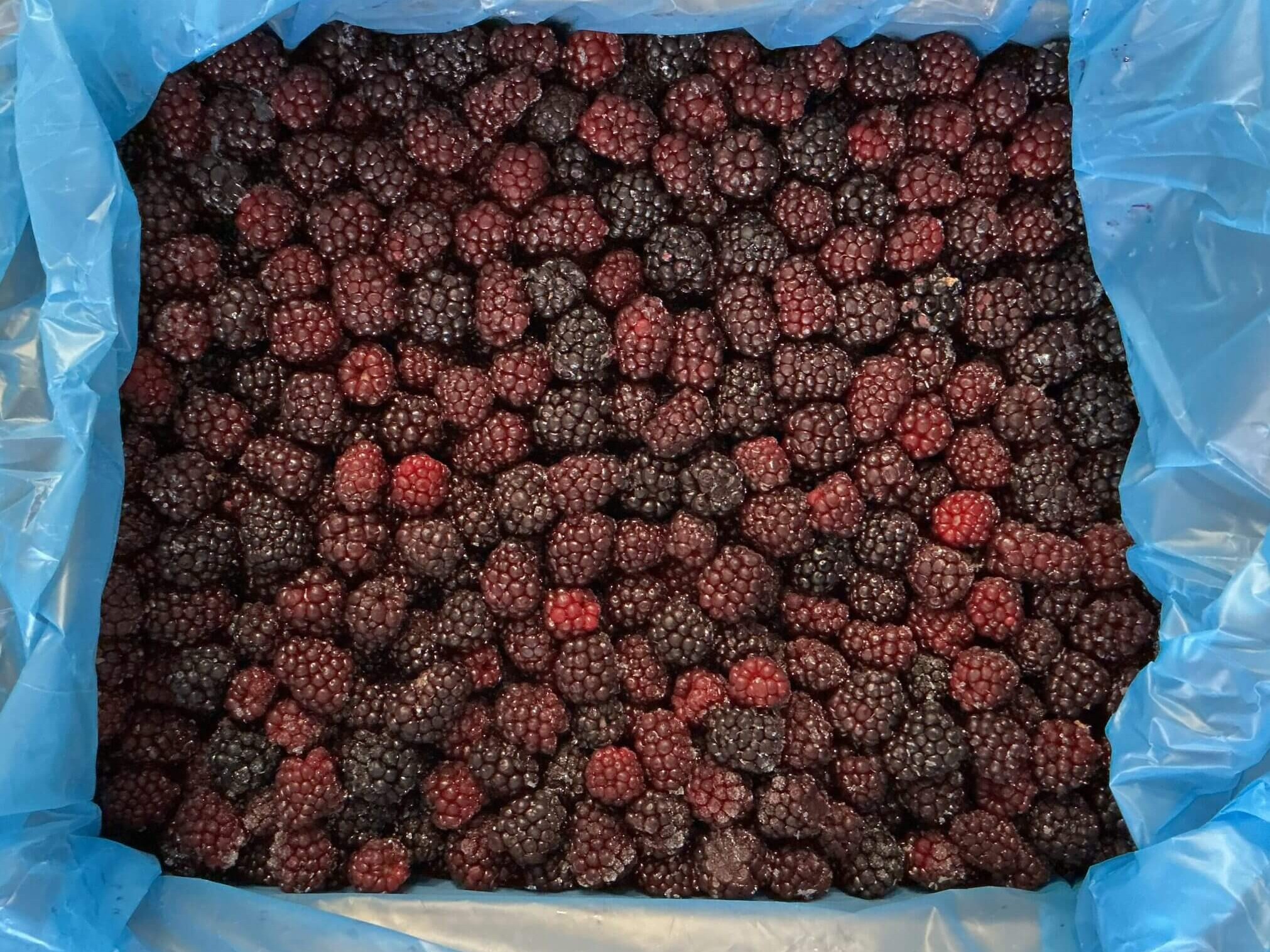 IQF frozen blackberries