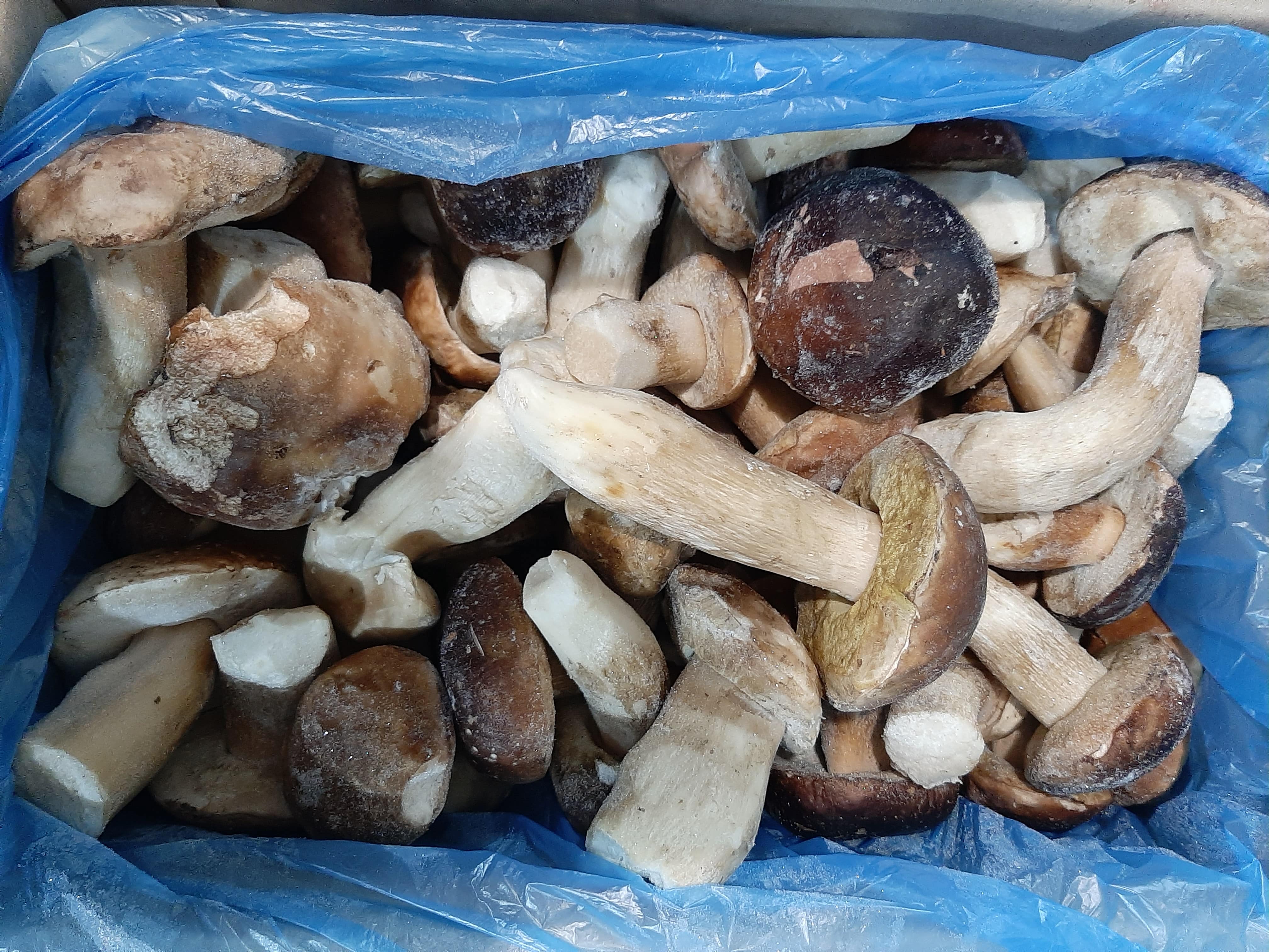 IQF frozen porcini mushrooms