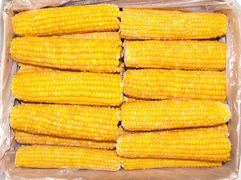 IQF frozen sweet corn