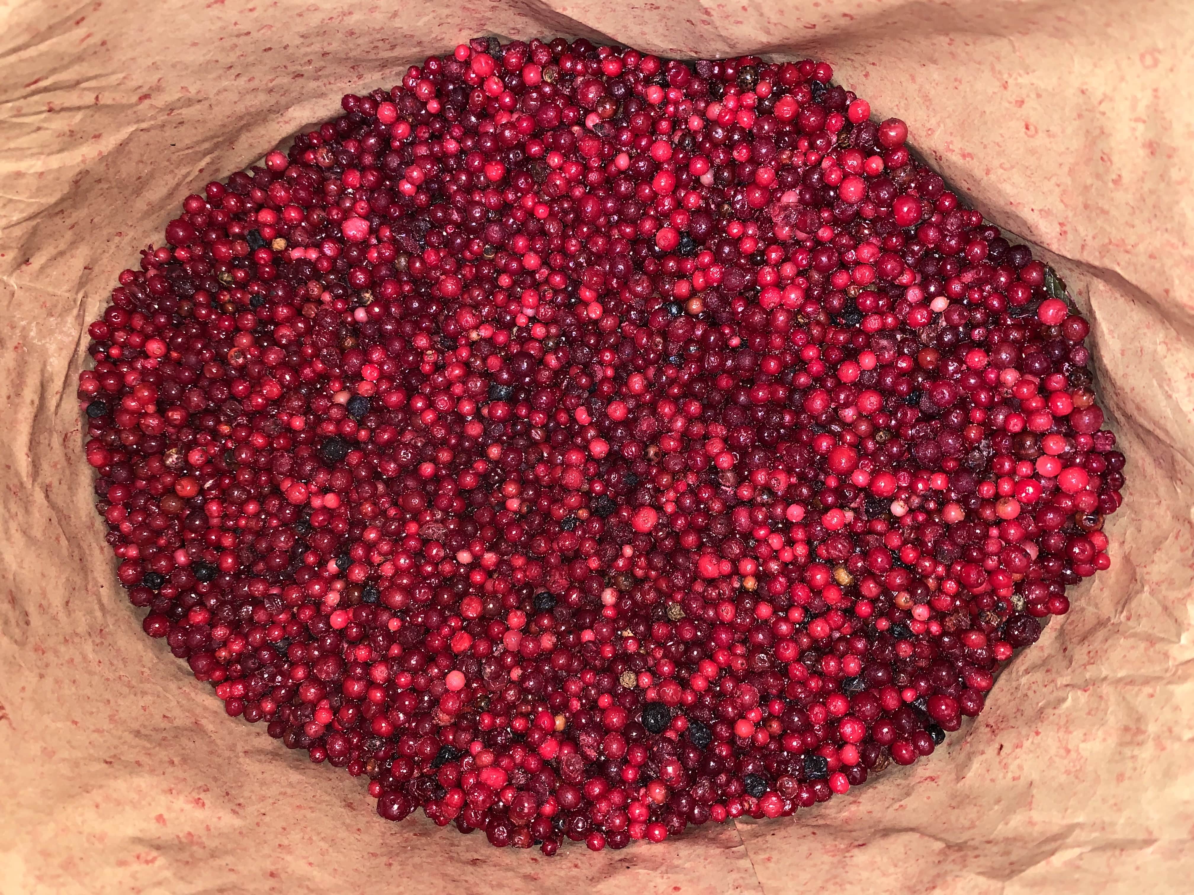 Lingonberry frozen