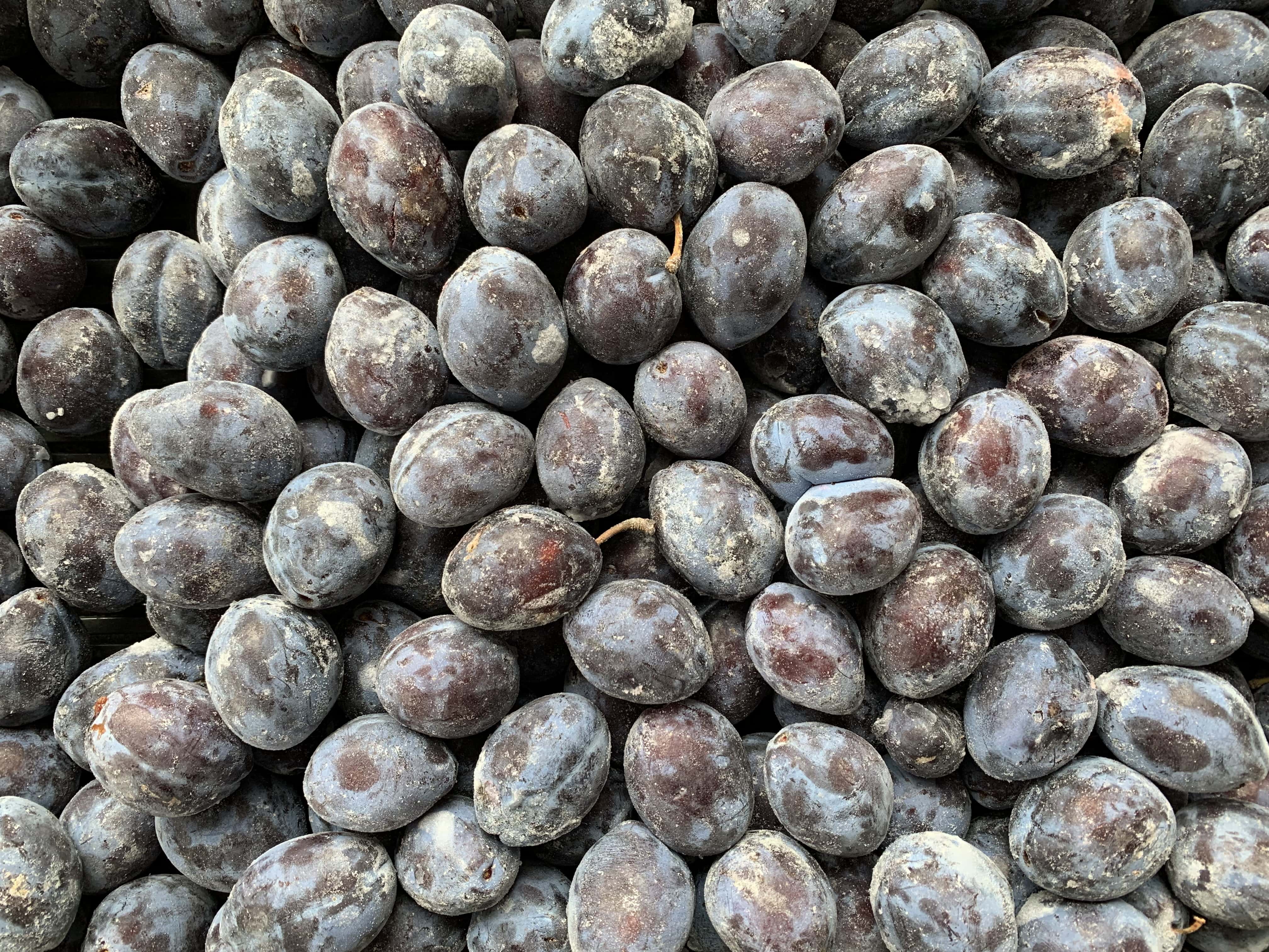 Plum frozen