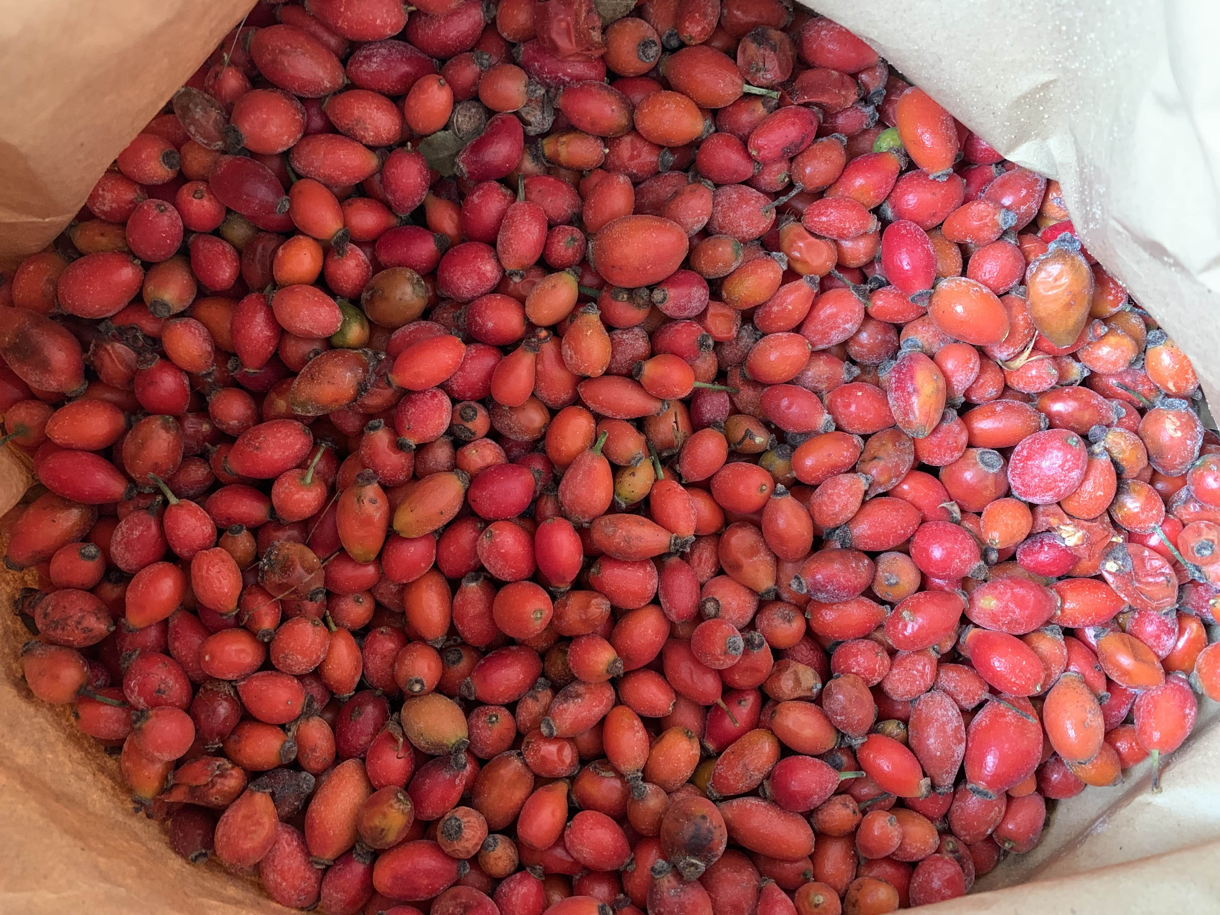 Rosehip frozen