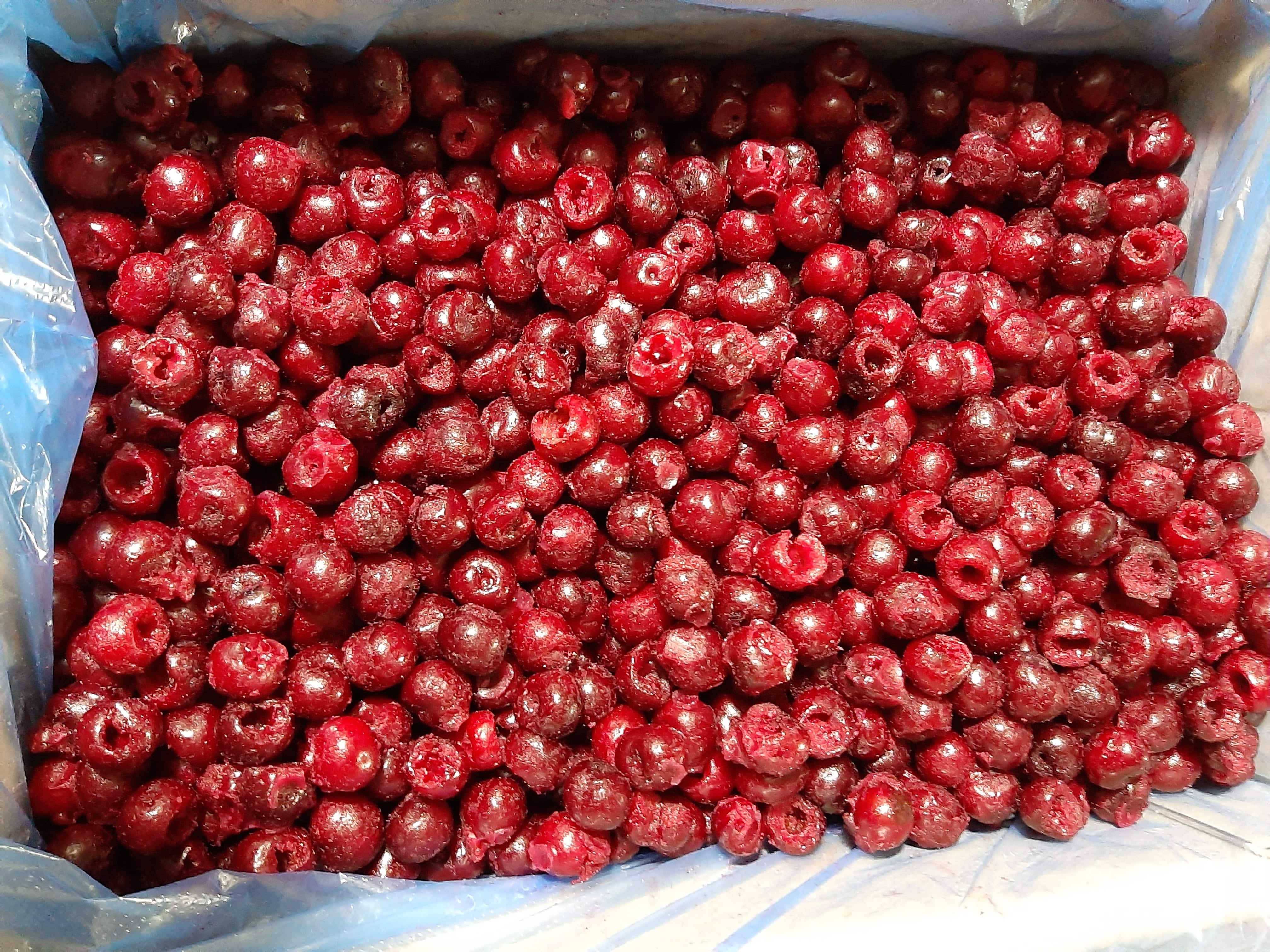 Sour cherry frozen